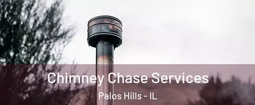 Chimney Chase Services Palos Hills - IL