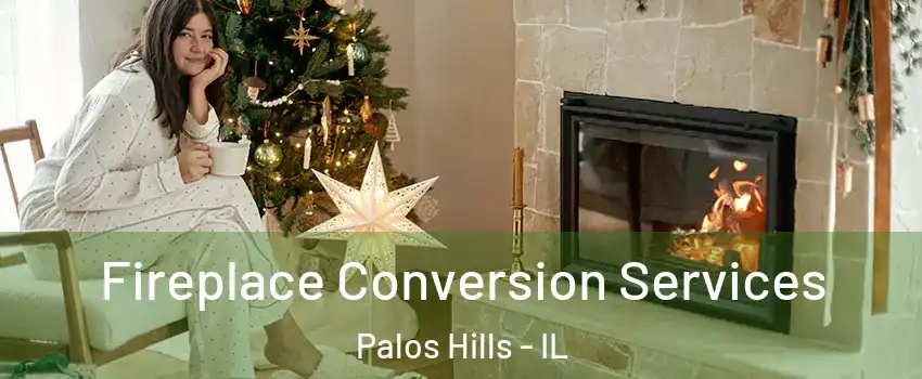 Fireplace Conversion Services Palos Hills - IL