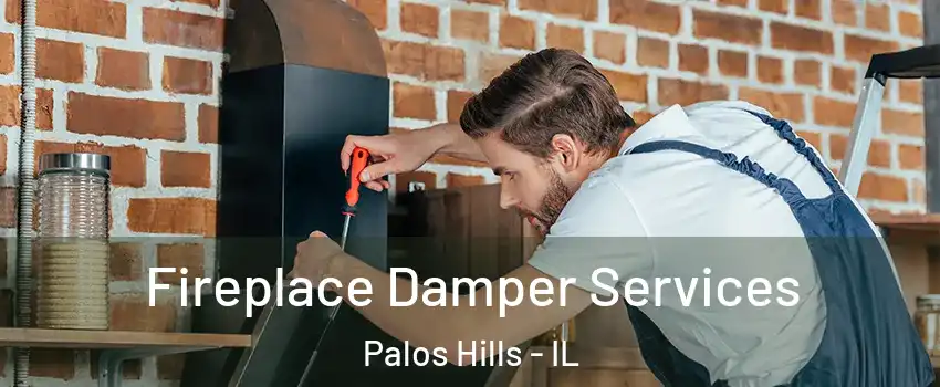 Fireplace Damper Services Palos Hills - IL