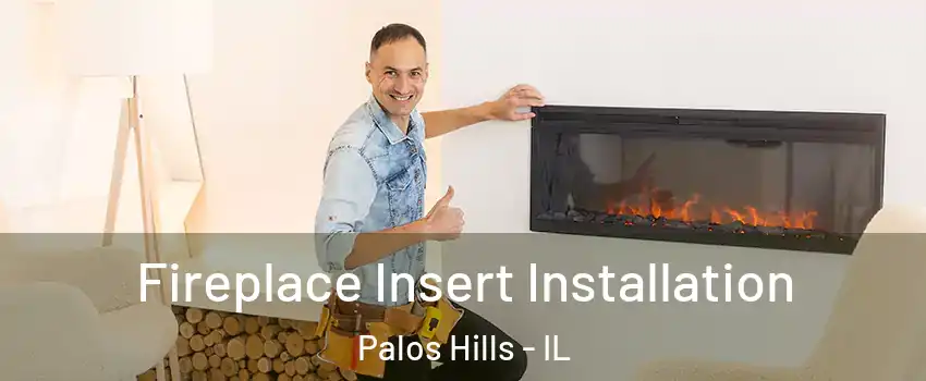  Fireplace Insert Installation Palos Hills - IL