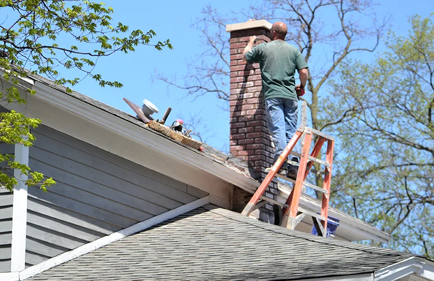 Chimney & Fireplace Inspections Services in Palos Hills, IL
