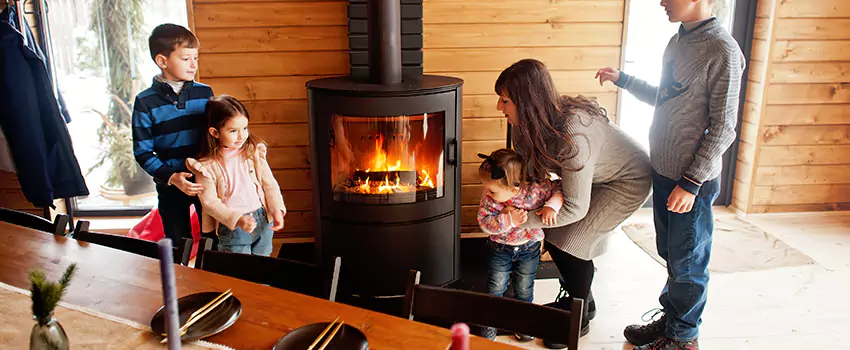 Jøtul Gas Fireplace Inspection Service in Palos Hills, Illinois